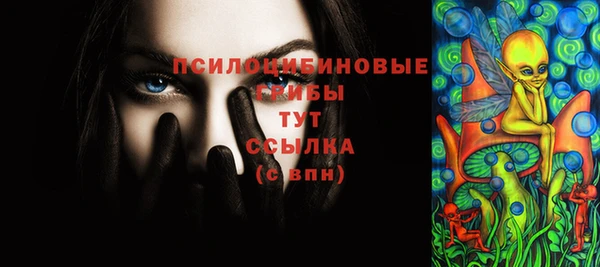твердый Арсеньев
