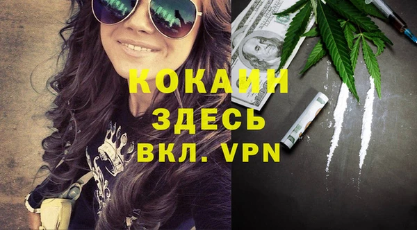 твердый Арсеньев