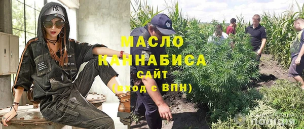 твердый Арсеньев