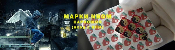 твердый Арсеньев