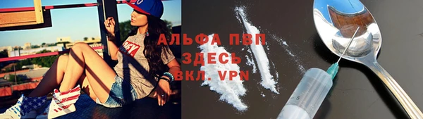 твердый Арсеньев