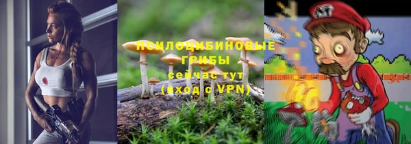 твердый Арсеньев