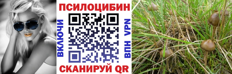 Галлюциногенные грибы Cubensis  Морозовск 