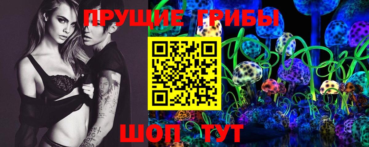 Морозовск  Галлюциногенные грибы мухоморы  Галлюциногенные грибы Psilocybe  Вход с VPN 