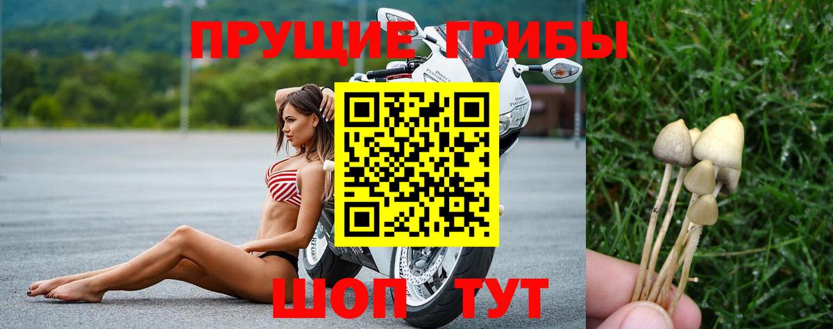 Галлюциногенные грибы прущие грибы Морозовск